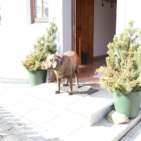 Apartmán In Near Area, Cleaning Included Hüttau